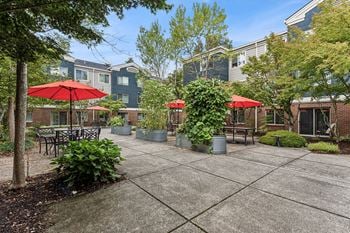 Courtyard garden lounge